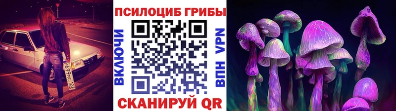 Галлюциногенные грибы прущие грибы  цена   Александровск 